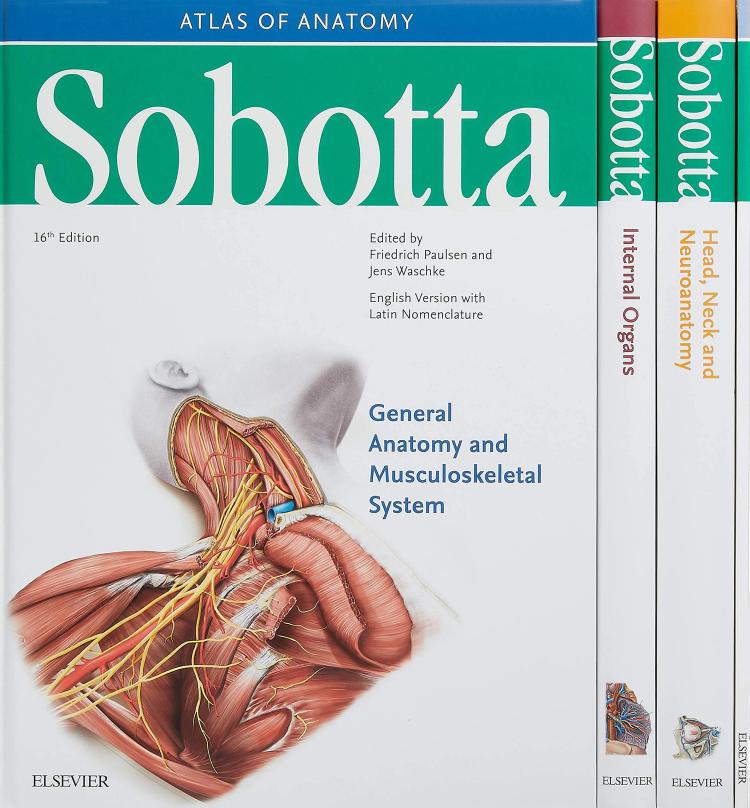 Sobotta General Anatomy and Musculoskeletal System | Atlas of Anatomy | - 16th Edition