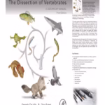 The Dissection of Vertebrates: A Laboratory Manual - 3rd Edition