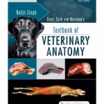 Dyce, Sack, and Wensing's Textbook of Veterinary Anatomy- 5th Edition