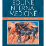 Equine Internal Medicine - 4th Edition