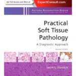 Practical Soft Tissue Pathology: A Diagnostic Approach -2nd Edition