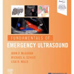 Fundamentals of Emergency Ultrasound - 1st Edition