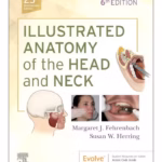Illustrated Anatomy of the Head and Neck-6th Edition