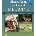 Sheep, Goat, and Cervid Medicine-3rd Edition