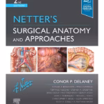 Netter's Surgical Anatomy and Approaches-2nd EditionD