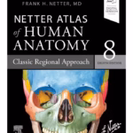 Netter Atlas of Human Anatomy: Classic Regional Approach-8th Edition