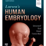 Larsen's Human Embryology -6th EditionD