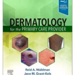Dermatology for the Primary Care Provider - 1st Edition