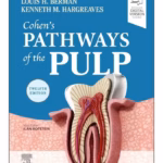 Cohen's Pathways of the Pulp-12nd Edition