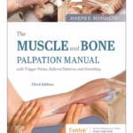 The Muscle and Bone Palpation Manual with Trigger Points, Referral Patterns and Stretching-3rd Edition