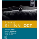 Atlas of Retinal OCT: Optical Coherence Tomography - 2nd Edition