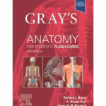 Gray's Anatomy for Students Flash Cards - 5th Edition