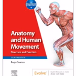 Anatomy and Human Movement: Structure and Function - 8th Edition