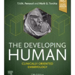 The Developing Human: Clinically Oriented Embryology -12nd Edition