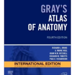 Grays Atlas of Anatomy IE -4th Edition