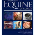 Clinical Equine Oncology - 1st Edition