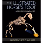 The Illustrated Horse's Foot -1st Edition