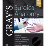 Gray's Surgical Anatomy-1st Edition