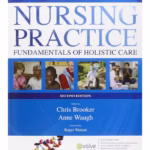 Foundations of Nursing Practice-2nd Edition