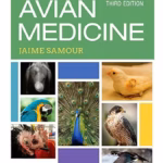 Avian Medicine -3rd Edition
