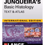 Junqueira's Basic Histology:Text and at -17th Edition