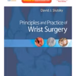 Principles& Practice of Wrist Surgery with DVD-1st Edition