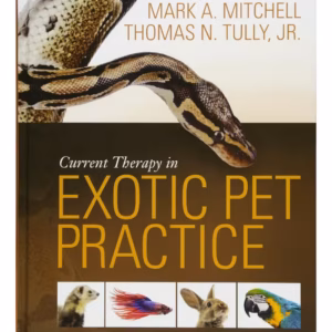 Current Therapy in Exotic Pet Practice - 1st Edition