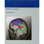 Atlas of Brain Function