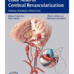 Color Atlas of Cerebral Revascularization Anatomy