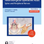 Spine and Peripheral Nerves 3rd Edition