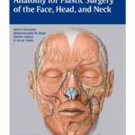 Anatomy for Plastic Surgery of the Face, Head and Neck