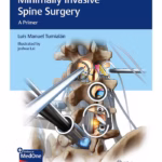 Minimally Invasive Spine Surgery : A Primer 1st Ed.