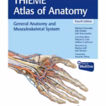 THIEME Atlas of Anatomy : General Anatomy and Musculoskeletal System 4th Ed.