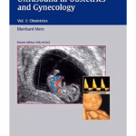 Ultrasound in Obstetrics and Gynecology Volume 1 O