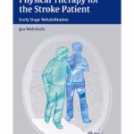 Physical Therapy for the Stroke Patient