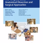 The Temporal Bone: Anatomical Dissection and Surgical Approaches: 1/e
