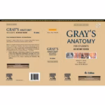 Grays Anatomy for Students : An Instant Review (SAE) -4th Edition