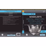 Wheelers Dental Anatomy, Physiology and Occlusion (SAE) - 2nd Edition