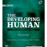 The Developing Human: Clinically Oriented Embryology - 11st Edition