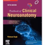 Textbook of  Clinical Neuroanatomy -5th Edition