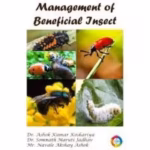 Fundamentals of Emergency Ultrasound  - 1st EditionD