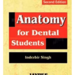 Anatomy For Dental Students