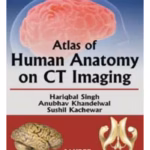 Atlas Of Human Anatomy On Ct Imaging