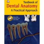 Textbook Of Dental Anatomy A Pratical Approach With Dvd-Rom