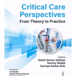 Critical Care Perspectives From Theory To Practice