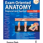 Exam Oriented Anatomy Regional And Applied (Volume 1)