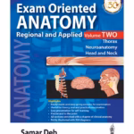 Exam Oriented Anatomy Regional And Applied (Volume 2)