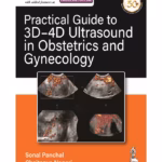 Practical Guide To 3D-4D Ultrasound In Obstetrics And Gynecology